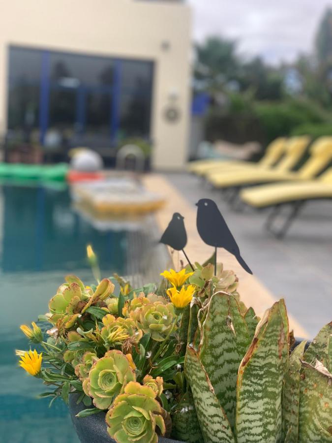 Auberge Oualidia Dream Esterno foto